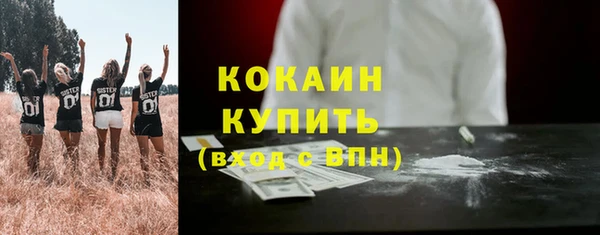 таблы Няндома