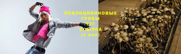 таблы Няндома