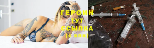 индика Нягань