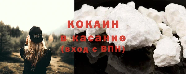 индика Нягань