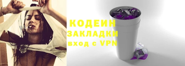 индика Нягань