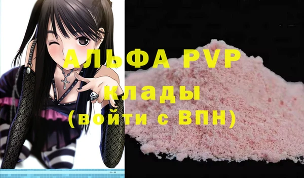индика Нягань