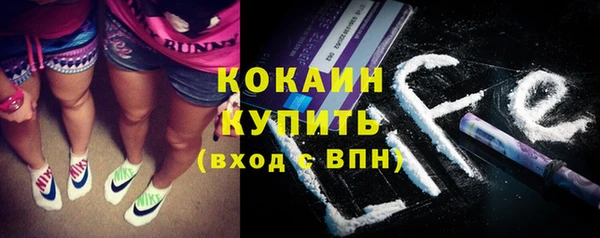 индика Нягань