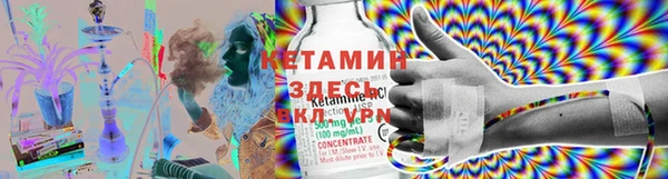 индика Нягань